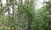 快乐的上林舍之行