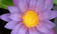 放下，阳光一片