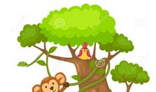 鸟和树的故事