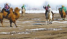 打球赛，不仅仅是享乐