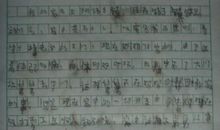 写风景的作文800字