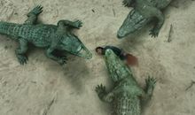 一次难忘的惊险之旅