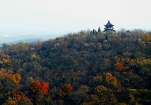 秋天的铁山寺