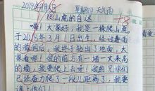 爬山虎脚的自述