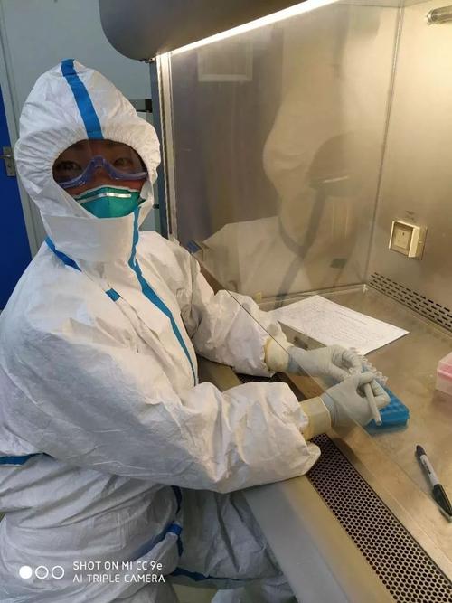 我喜欢同一张桌子