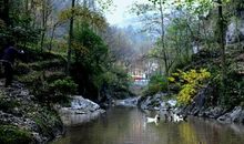 乡村美丽的小河