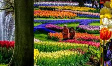 一次难忘的观赏