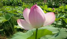 做不忧不惧的自己读后感