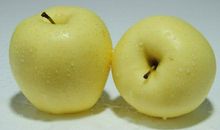 我最喜欢吃的水果雪梨