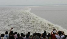 一次难忘的观潮