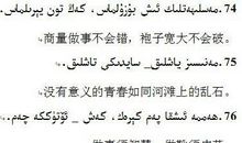 我眼里的维吾尔语