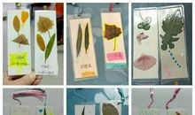 难忘的书签义卖活动