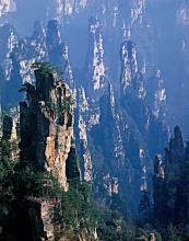 天子山