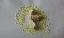 观察日记三则——蚕