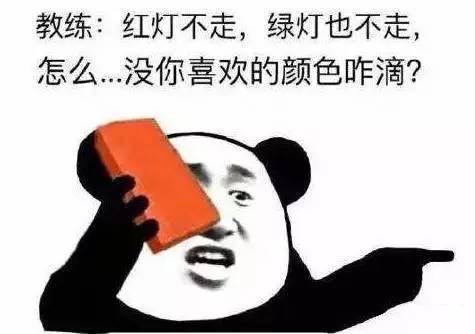 我愚蠢的兄弟