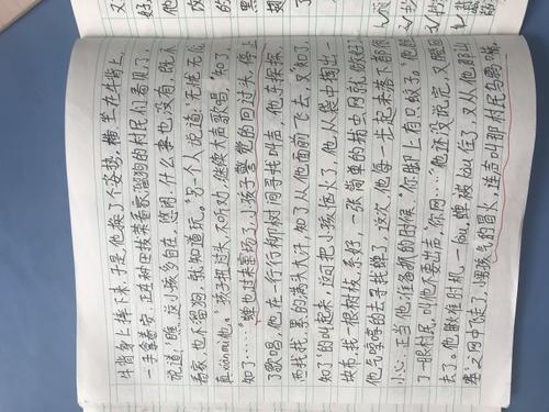 重写“您看到的内容”
