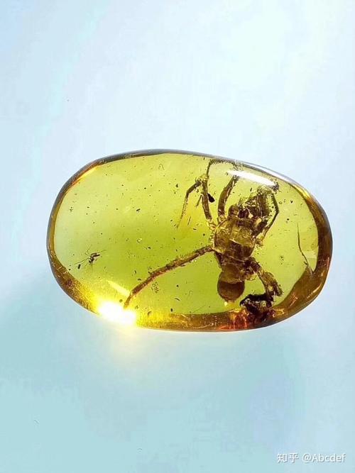 想成为科学家的小蚂蚁