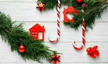 我想设立一个护鸟节