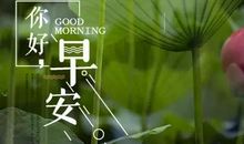 无人喝彩依然出众