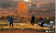 从明天起，被淋湿的心仍然炽热