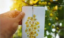 我在坚持中成长