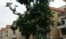 我家小区的冬天