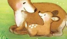 学游泳给我的启示