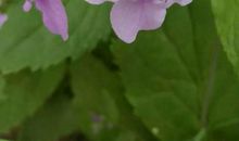 发现美也是一种美