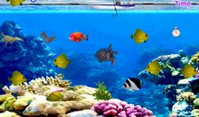 有趣的“钓鱼”