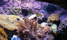 游杭州海底世界