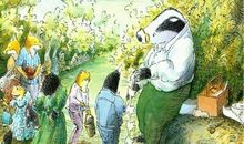 写给獾的一封信