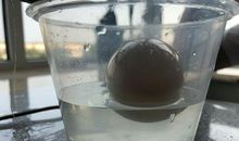 盐水浮鸡蛋实验作文