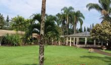 通往天国的彩虹