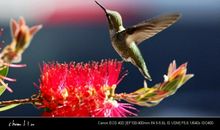 更有力量地飞翔