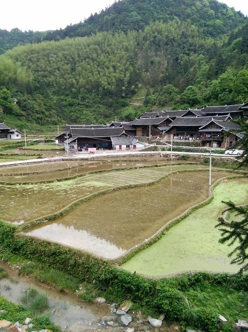 故乡百花林