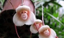 何不做独特的自己