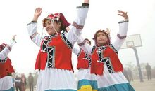 美丽盛开的民族团结之花