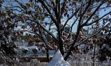 我喜欢的家乡的冬天