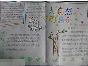 大自然的启示