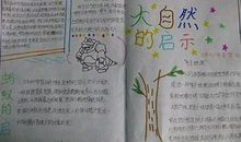 大自然带给我的启示