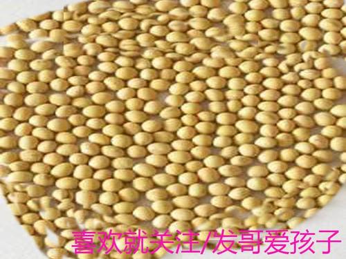 踩大豆