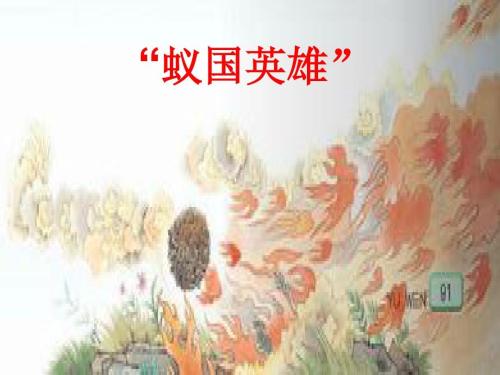 看了蚂蚁王国的英雄