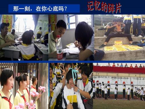 生活中美的集合
