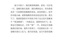 班里的趣事作文