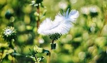 平凡而伟大的友情