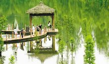 沿江风光带风景美如画