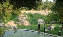 春天的虎山公园