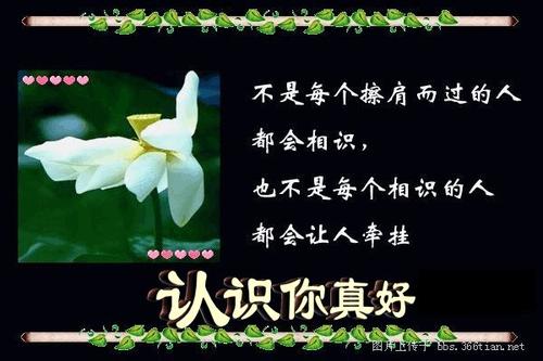 好朋友认识你
