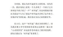 说声对不起作文