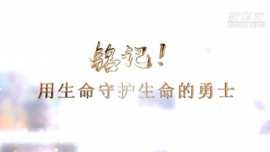 生命的守护者